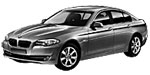BMW F10 P2AE0 Fault Code